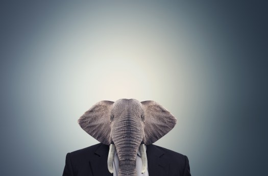 shutterstock_449499802